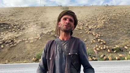 Yaz boyunca yaylalarda konaklayan göçerler eve dönüş yolculuğuna başladı