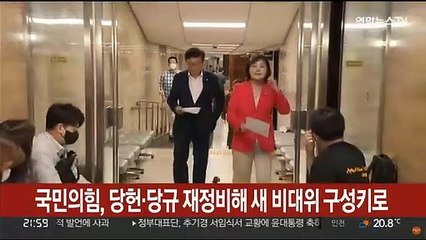 국민의힘, 당헌·당규 재정비해 새 비대위 구성키로