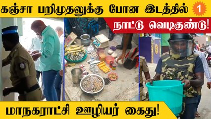 Kanchipuramல் கஞ்சா வியாபாரி வீட்டில் நாட்டு வெடிகுண்டு கண்டுபிடிப்பு! அதிர்ச்சியில் போலீஸ்!