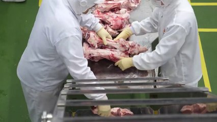 Incredible process of making instant noodles