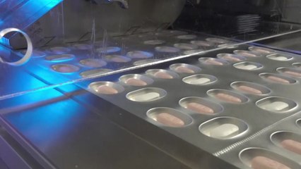 "팍스로비드 복용해도 재발 사례 빈번...최고 10%" / YTN