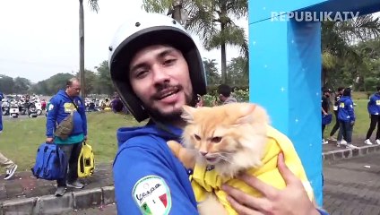 Serunya Berkendara dengan Vespa Bersama Kucing Kesayangan