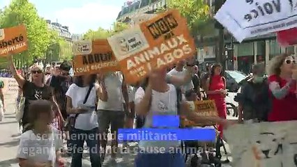 Journée mondiale pour la fin du spécisme : des militants vegans défilent pour la cause animale