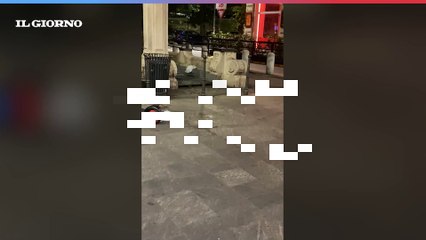 Milano, topi in piazza Oberdan