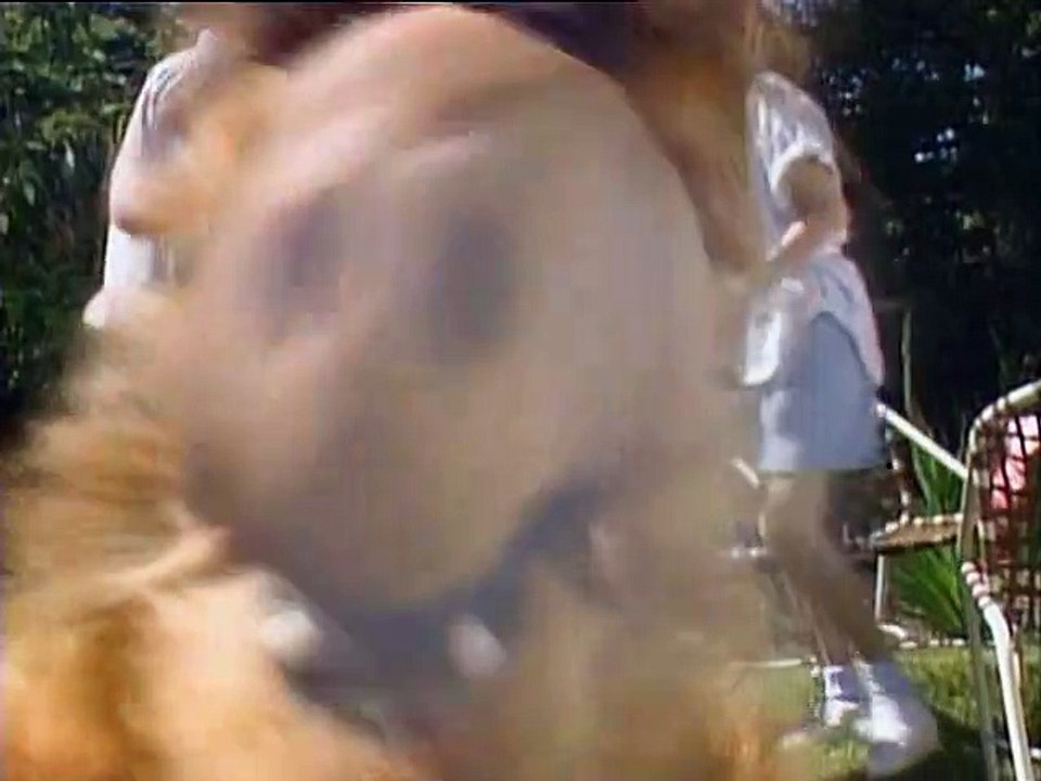 ALF Staffel 2 Folge 26 HD Deutsch
