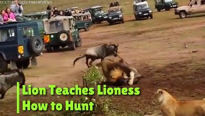 21 Amazing Animal Moments You’ve Never Seen Before