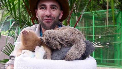 9 Cutest Exotic Pets In The World