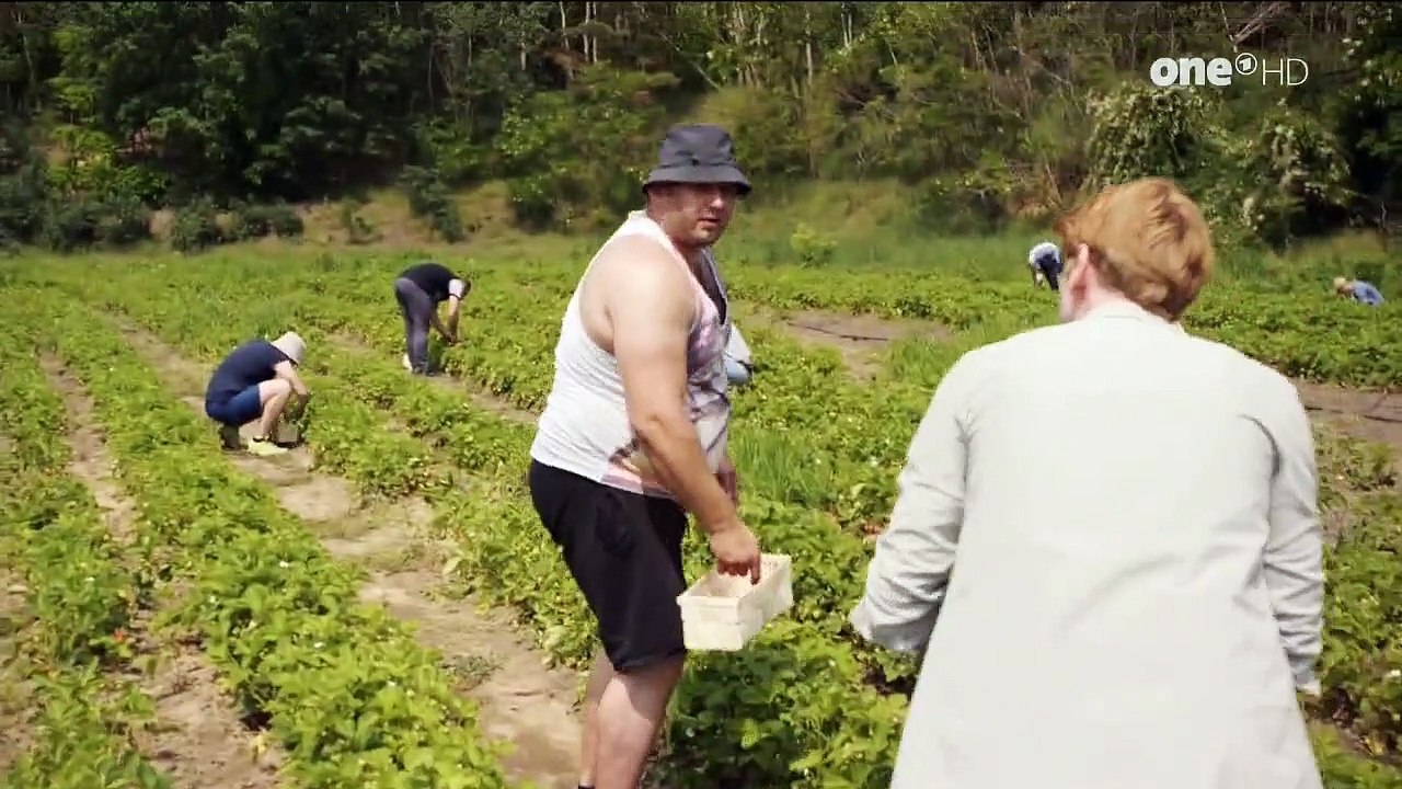 Praxis mit Meerblick Staffel 1 Folge 8 - Part 01 HD Deutsch