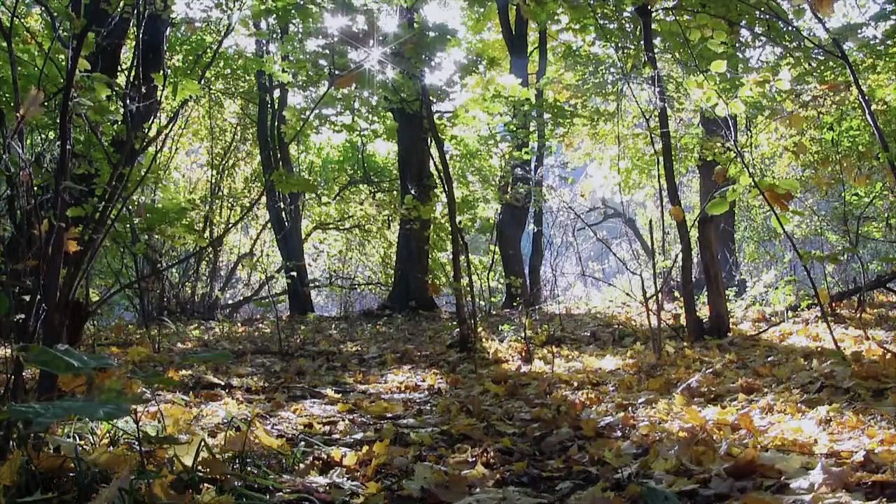 Entführt - Kampf um mein Kind Staffel 1 Folge 7 HD Deutsch