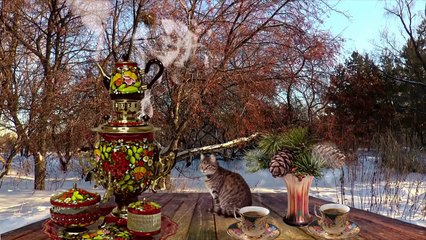 Top 10 Richest Animals (Not Humans) of the World