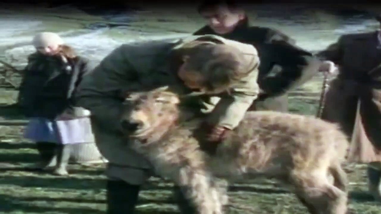 Der Doktor Und Das Liebe Vieh Staffel 2 Folge 14 HD Deutsch