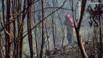 Полиция Франции подозревает пожарных-добровольцев в поджогах лесов