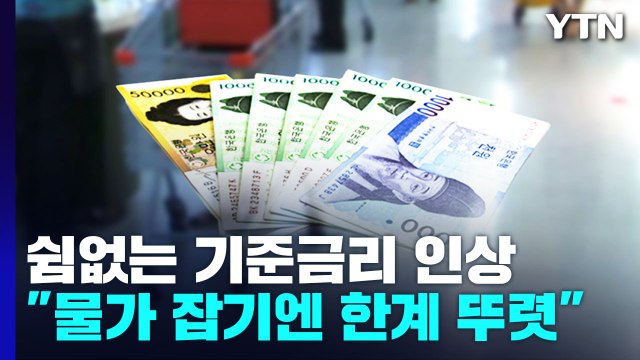 쉼없는 기준금리 인상... 물가 잡기엔 한계 뚜렷 / YTN