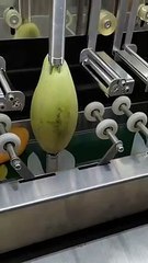 Mango juice factory most amazing video