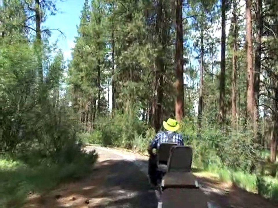 Train Mountain Ride - 2022