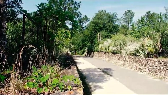 A Virtual Bike Ride To The Land Bridge Over Interstate 75 (Ocala, Florida) - Travel Video VLOG & Tourw