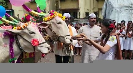 Wardha Bail Pola : 140 वर्षांची परंपरा, लाकडी नंदी, मिरवणूक, वर्ध्यात तान्हा पोळ्याचे आयोजन