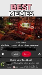 These Are The BEST MEMES