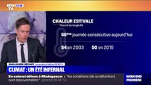 Climat: au moins 56 jours consécutifs de chaleur estivale en France cet été, un record