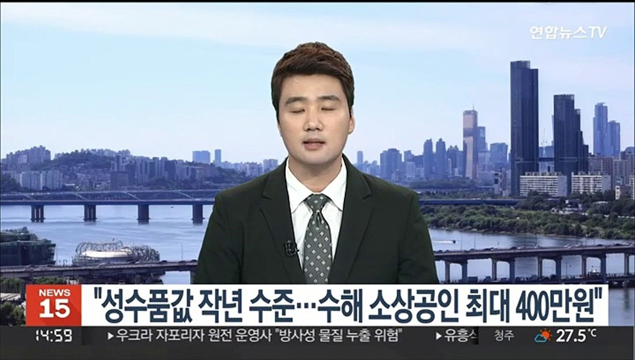 [녹취구성] 당정 "성수품값 작년 수준…수해 소상공인 최대 400만원"