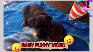 Baby  | funny baby