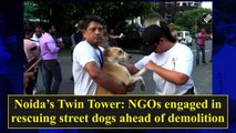 NGOs rescue street dogs ahead of Noida's twin towers demolition