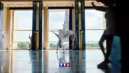 Danse Avec Les Stars  2022 :  Nouveaux Juges  Nouvelle Saison