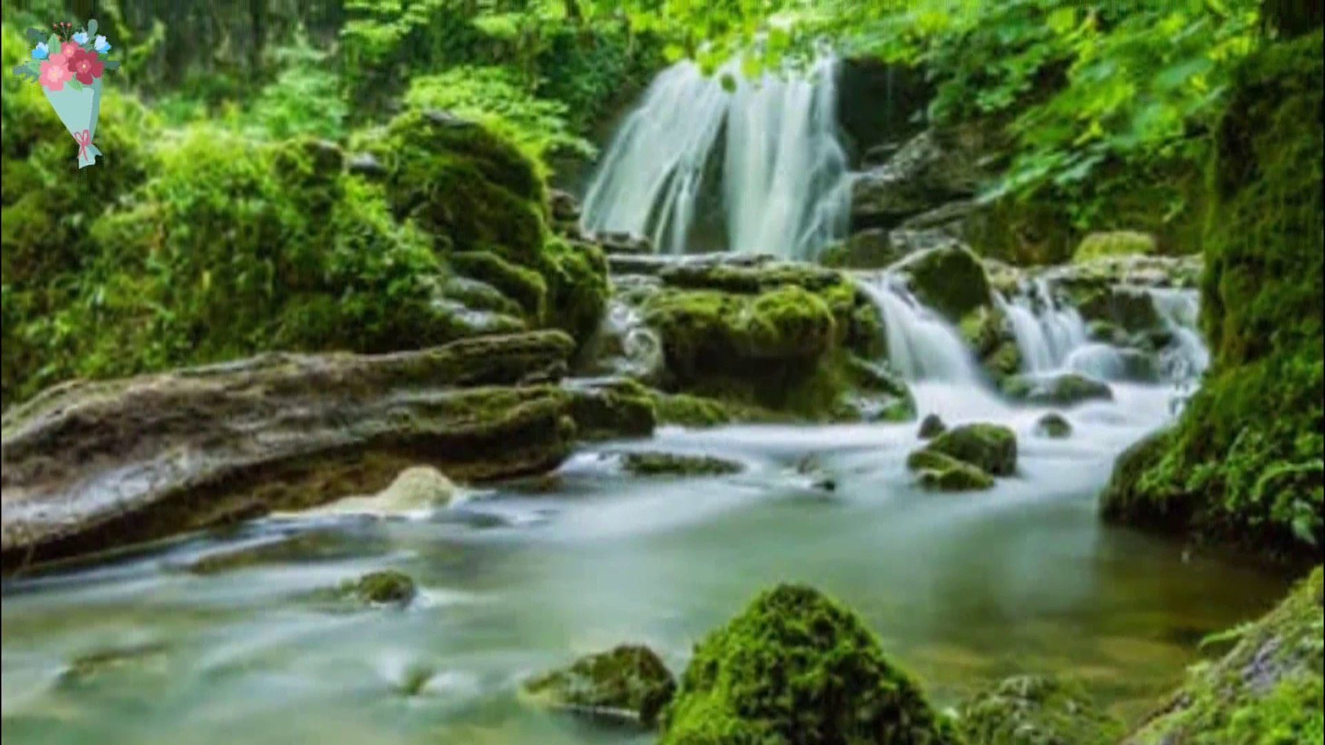 ⁣Morining Bird Sound।Nature sounds effects। Birds sounds effect। Relaxing nature sounds effects.
