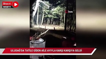 Uludağ'a tatile giden aile ayıyla karşı karşıya geldi