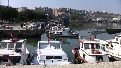 Son 50 yılın en iyi palamut sezonu