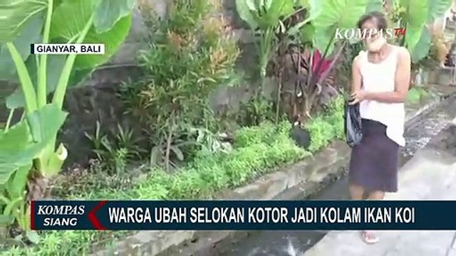 I Ketut Mastika, Warga Ubud yang Kreatif Ubah Got Kotor Jadi Kolam Ikan Koi