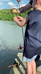 Kid Screams Trying to Catch Fish Out of Water