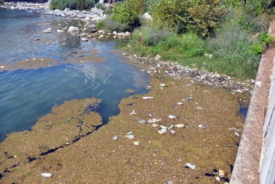 Adana haber: SEYHAN NEHRİ, PLASTİK, METAL VE CAM ATIKLARLA ÇÖPLÜĞE DÖNDÜ