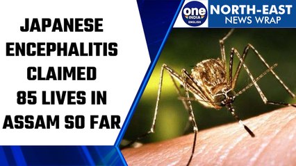 Download Video: Assam: 85 lives lost to Japanese Encephalitis in last 2 months | Oneindia News *News