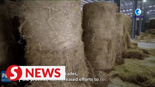 Straw recycling facilitates green agriculture in China
