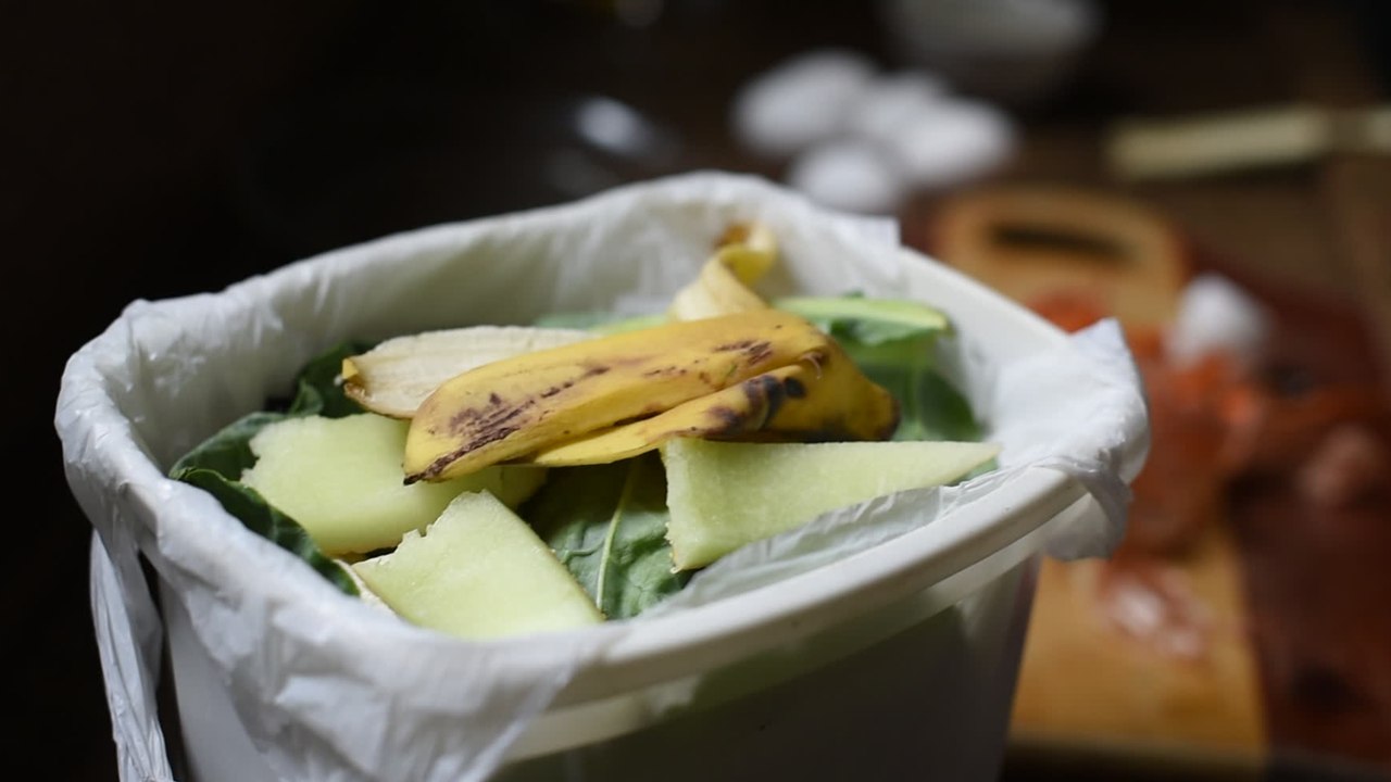 Trying to keep fruit flies and maggots away from your bin? Use these