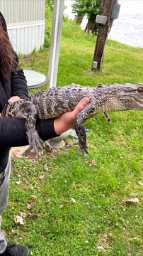 Trois choses étranges trouvées dans les piscines