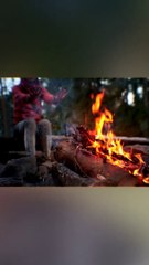 Les pompiers ont laissé la maison de cet homme brûler