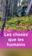 Les choses que les humains ne sont jamais censés voir #shorts