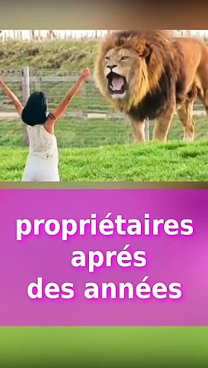 Des animaux retrouvés par leurs propriétaire après des années #shorts
