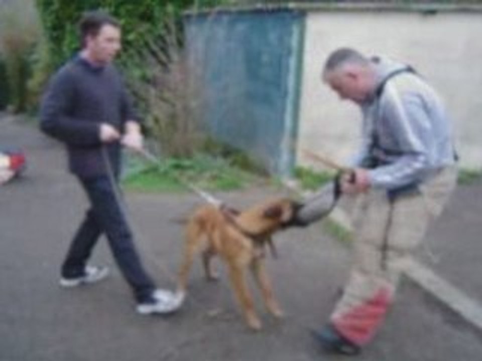 entrainement au mordant