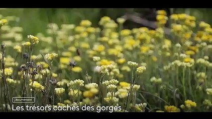 [BA] Les trésors cachés des gorges - 06/09/2022