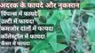 Adrak ka upyog in hindi | ginger ke benefits in hindi | अदरक खाने वाले यह वीडियो ज़रूर देखें