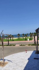 One of the most beautiful views you want to see in the morning