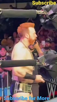 Sheamus is all Business #wwe #sheamus #shorts #business
