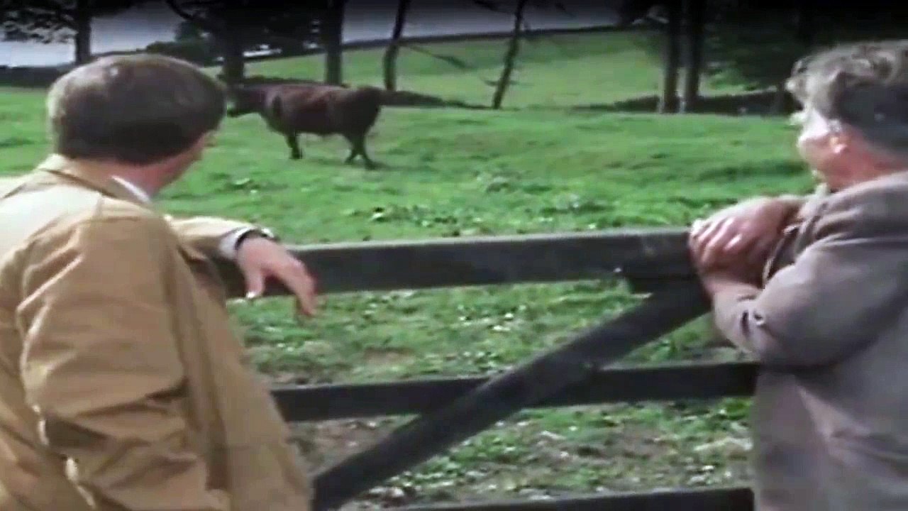 Der Doktor Und Das Liebe Vieh Staffel 3 Folge 6 - Part 02 HD Deutsch