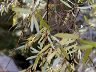 Earth 2 Staffel 1 Folge 10 HD Deutsch