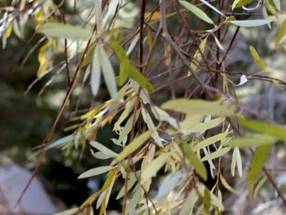 Earth 2 Staffel 1 Folge 10 HD Deutsch