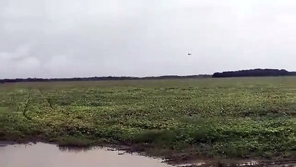 Les ailes d'un avion se brisent en plein vol