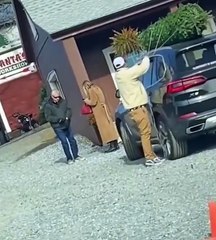 Un boulet accroche un sapin sur le toit de sa voiture